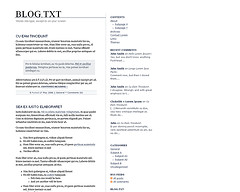 blog.txt