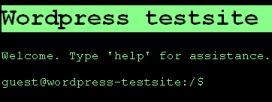 WordPress Theme: CLI 1.0