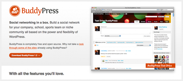 BuddyPress BuddyPress