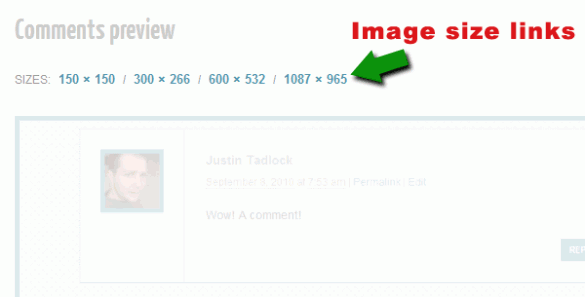 Links to all image sizes in WordPress Links to all image sizes in WordPress