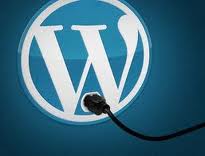 Wordpress Plug-In