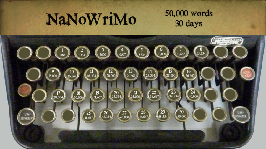 Writing Your NaNoWriMo Novel On WordPress