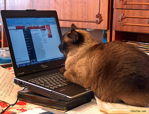 blog posts