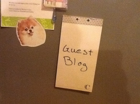 guest writing network