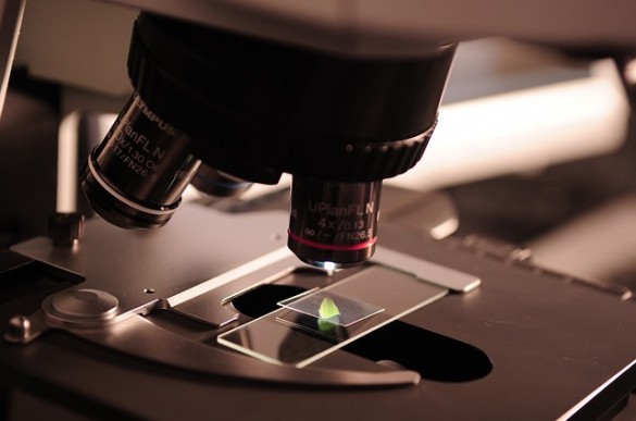 The Science Behind Highly Effective Blog Posts