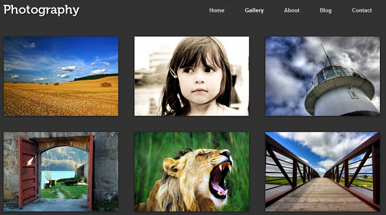 Five Tips For Creating A Successful Photography Blog | BloggingPro