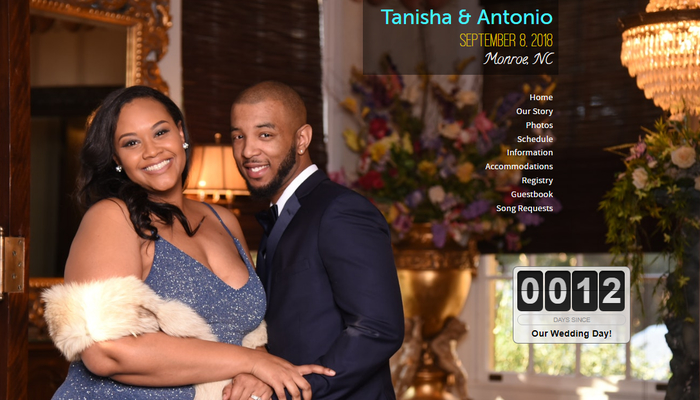 wedding website examples